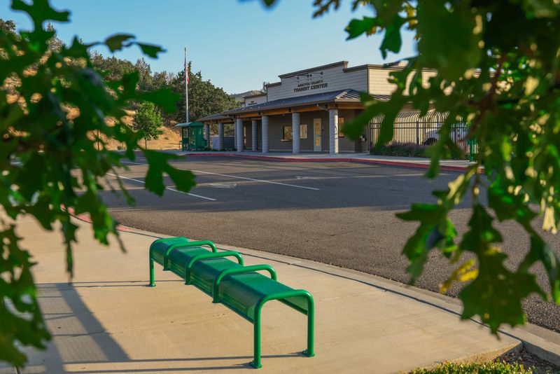 A green bench sits on a sidewalk in front of an empty parking lot and a building, partially framed by tree leaves in the foreground.